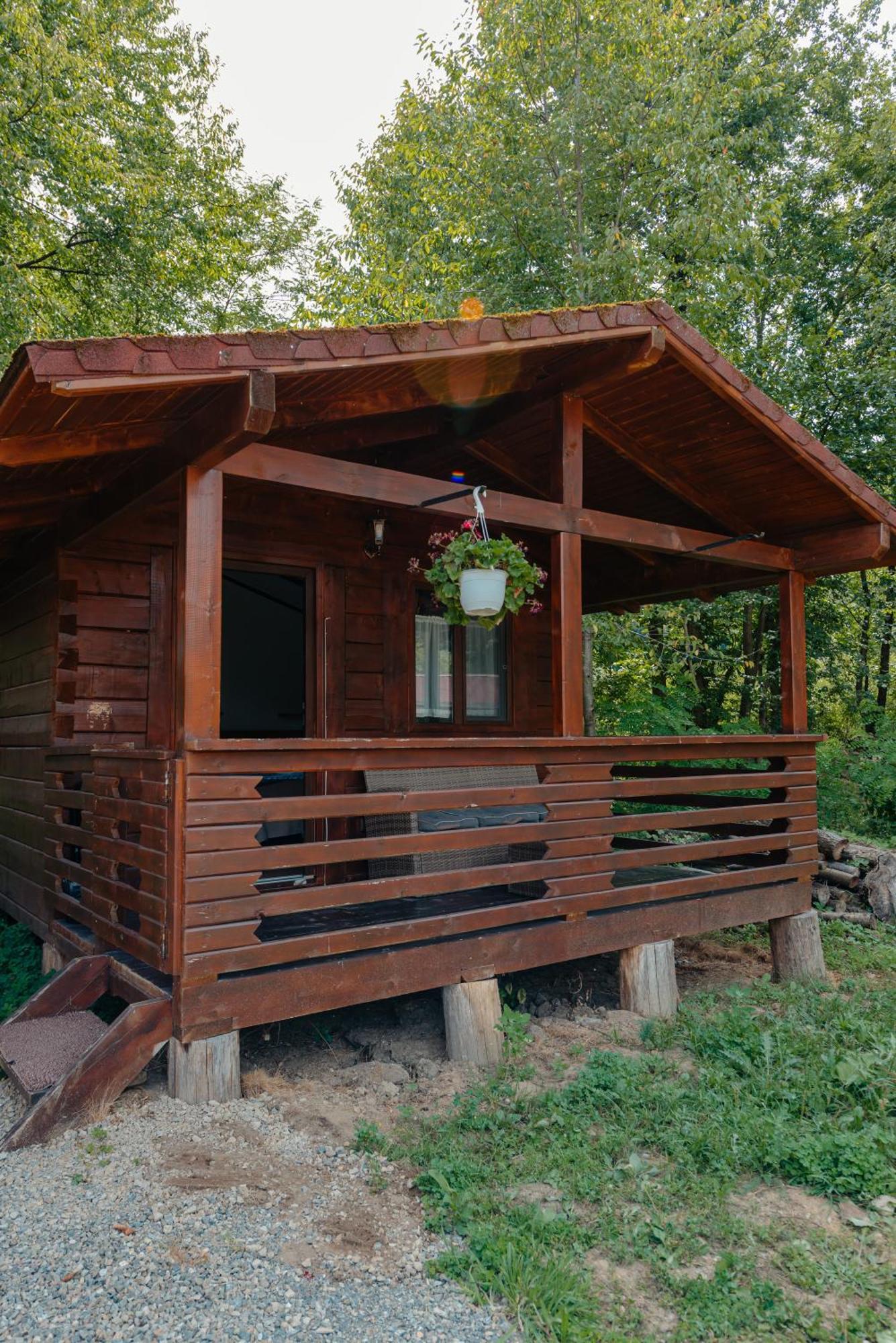Pensiunea Mirabilandia Negreni Extérieur photo